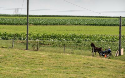 Things To Do in Lancaster, PA