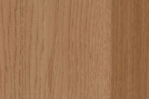 Hickory