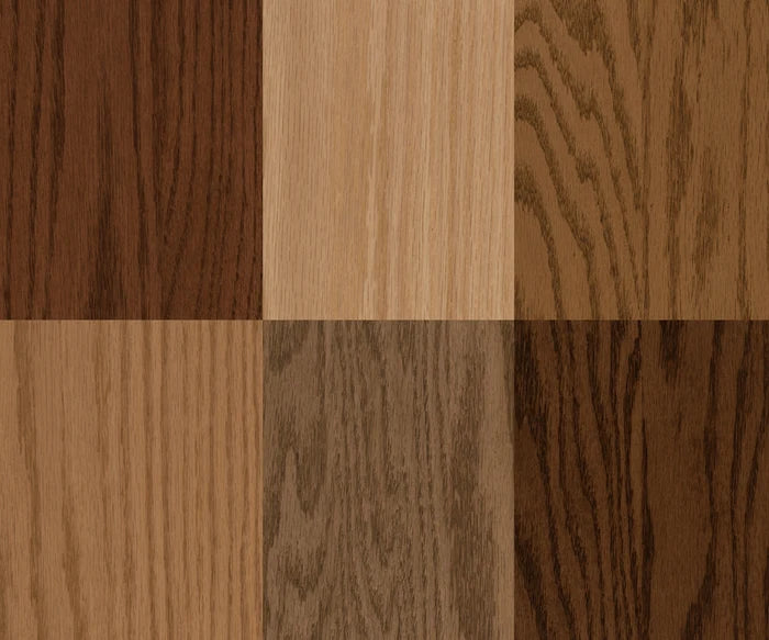 Stain Samples