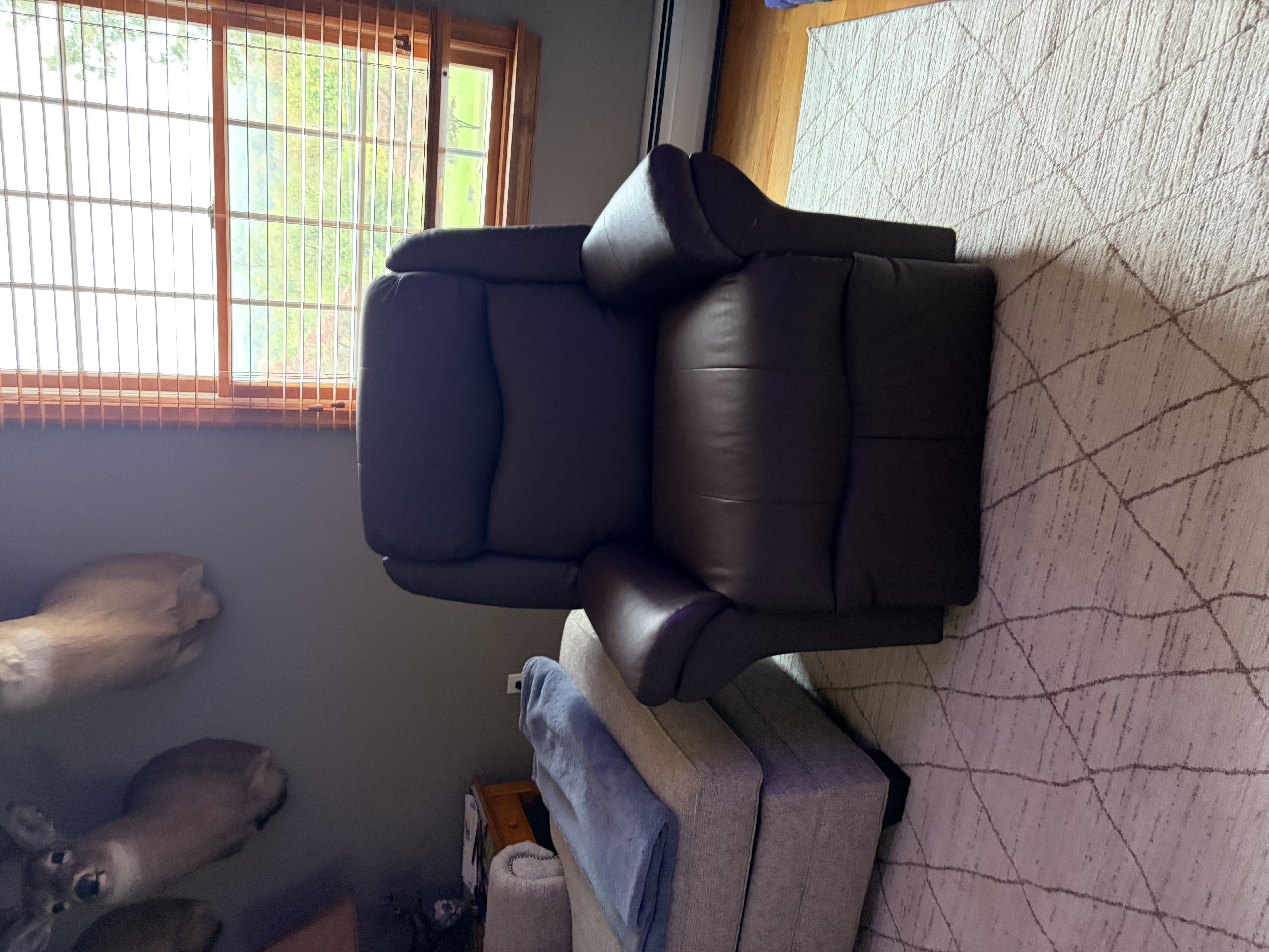 User Submitted Image